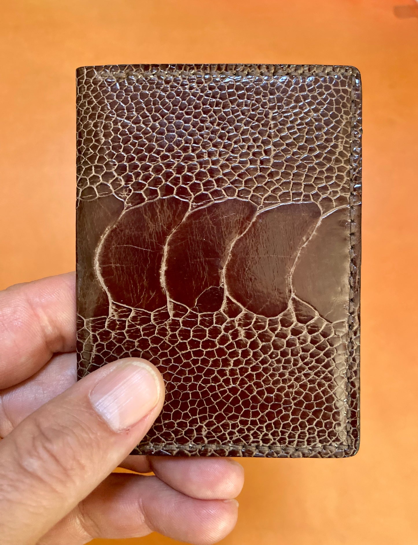 Brown Ostrich Wallet